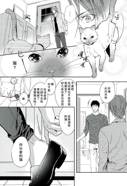 Page 7 of Wagaya no Nyanko-sama | 我家的喵主子