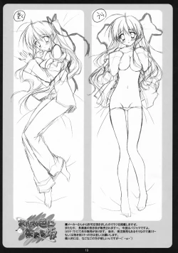 Page 12 of Seigi no Mikata