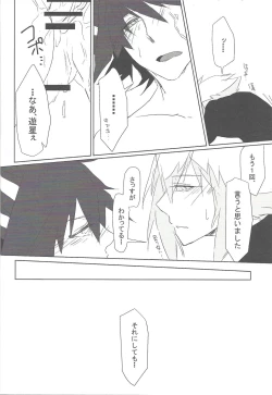 Page 14 of Reversible Check Sheet