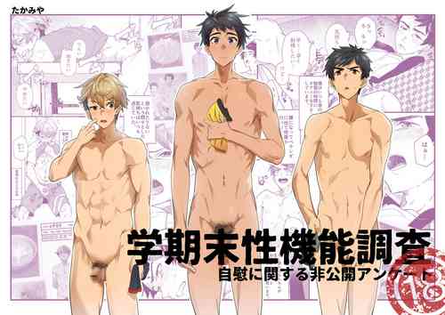 Download Gakkimatsu Seikinou Chousa