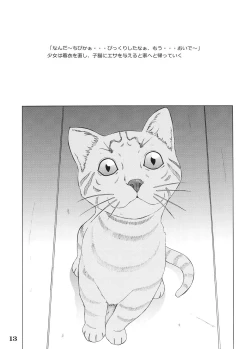 Page 14 of Shoujo to Shitai 10 no Koto