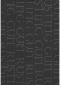 Page 5 of RUSTING GUN