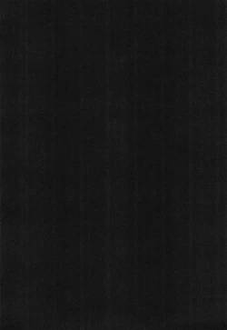 Page 4 of PROMINENT 3