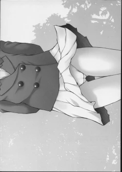 Page 11 of PREPARATION-SHIHO