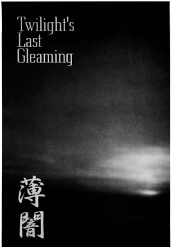 Page 3 of usuyami Twillight's Last Gleaming