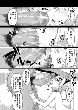 Page 9 of Symphogear no Usui Hon 2
