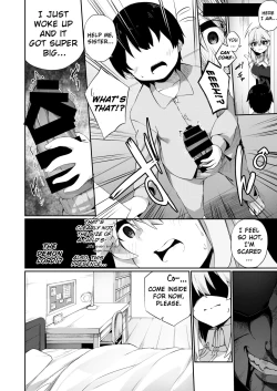 Page 14 of TS Sister, Kodomo no Tame ni Ganbarimasu ♀!! | TS Sister Does Her Best For The sake of A Child ♀!!!