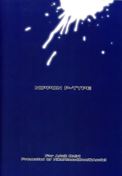 Page 2 of NIPPON P-TYPE