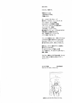 Page 4 of NIPPON P-TYPE