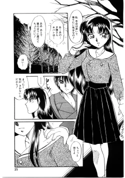 Page 24 of Himitsu no Tobira
