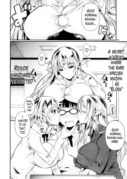 Page 5 of High Elf × High School