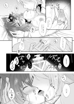 Page 18 of Maid na Nyanko wa Goshujin-sama o Iyashitai