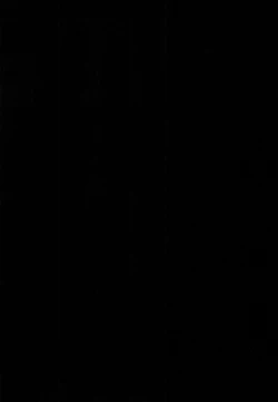 Page 4 of M.P. vol. 19