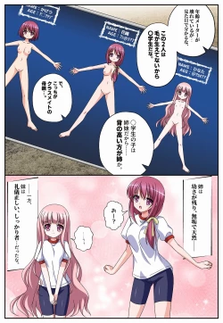 Page 6 of Bishoujo Shimai Figure?