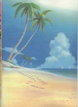 Page 229 of Super Real Mahjong Visual Fan Book Perfect Collection