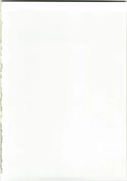 Page 2 of Ankoiri Pasuta Raisu