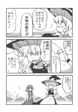 Page 33 of Yuukarin Yume Mousou