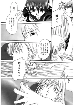 Page 112 of Shoujo Sect 2