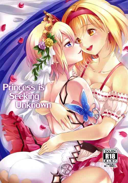 Download Princess is Seeking Unknown