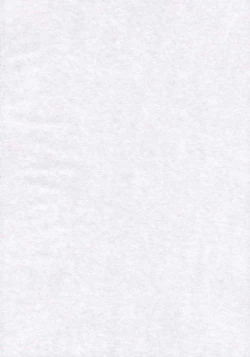 Page 2 of Sack no March