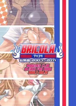 Page 14 of BRICOLA Soushuuhen