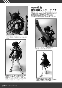 Page 23 of Kagaku Touki Silver Raina Extra