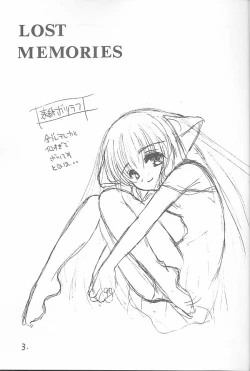 Page 2 of LOST MEMORIES