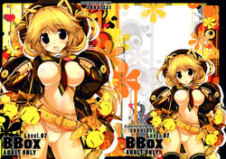 Download BBOX-Level.07