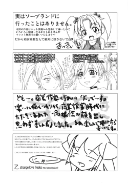 Page 39 of Twin Tail ni Hakudaku wo Ippai Kakeru Hon