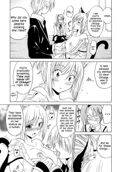 Page 11 of Seiteki Yokubou Hassan