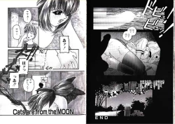 Page 58 of Hikagyaku Sei Hannou