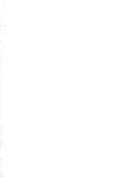 Page 2 of Maji de Sessou Nai wa ne Shihainin.