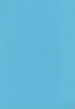 Page 3 of Sukumizu Hiyakeato-zoku 2009