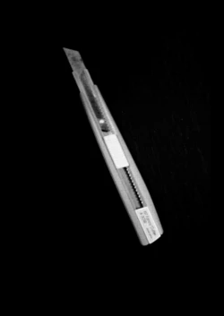 Page 20 of Hoshimiya Ichigo no Chitsu