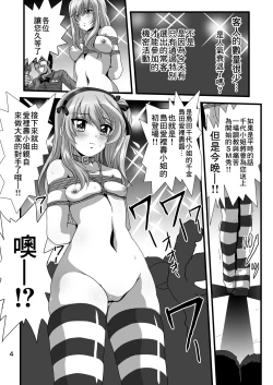 Page 4 of G Panzer 28