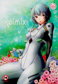 Download Reimix