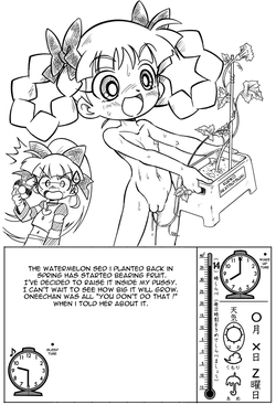 Download Watermelon Breeding