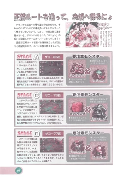 Page 100 of Official Alicesoft Full Completion Guide 2