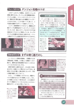 Page 149 of Official Alicesoft Full Completion Guide 2