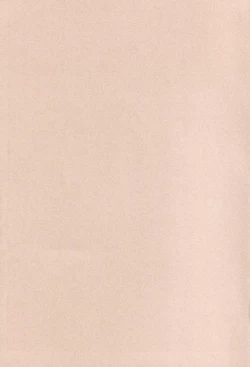 Page 197 of Official Alicesoft Full Completion Guide 2