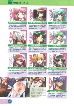 Page 30 of Official Alicesoft Full Completion Guide 2