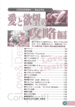 Page 35 of Official Alicesoft Full Completion Guide 2