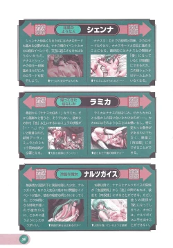 Page 38 of Official Alicesoft Full Completion Guide 2