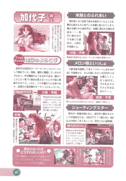 Page 44 of Official Alicesoft Full Completion Guide 2