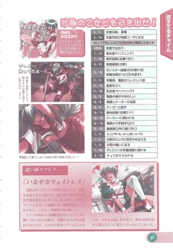 Page 63 of Official Alicesoft Full Completion Guide 2