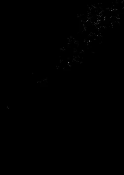 Page 20 of Konpou Shoujo 11