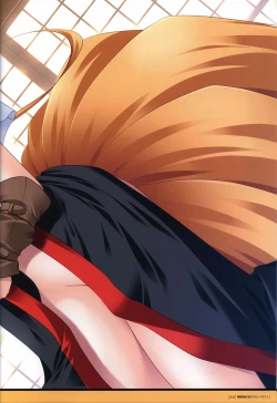 Page 69 of ALcot Visualworks vol.1