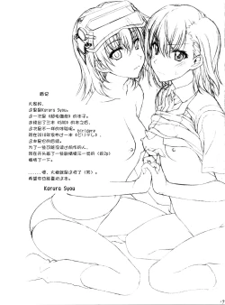 Page 17 of Individual 39 - Biridere! Level 2