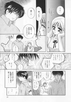 Page 25 of Watashi wo nikudorei ni shitekudasai