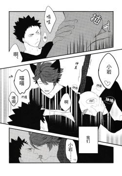 Page 12 of Iwa-chan no Neko ni Naritai | 我想成为小岩的猫